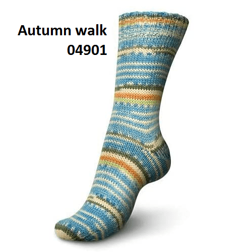 Autumn Walk 04901