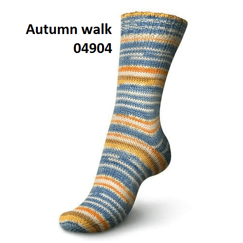 Autumn Walk 04904