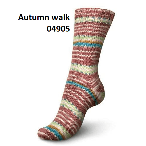 Autumn Walk 04905